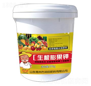 ����ֲ��ˮ�ܷ���-����