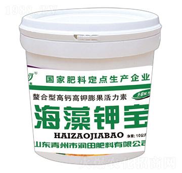 ����⛌�-�������