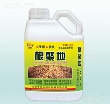 ����(j��)�؛_ʩ��-�������