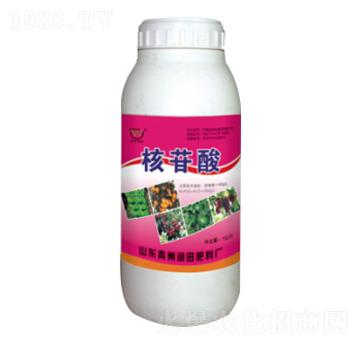 ƿ�b�������~���-����