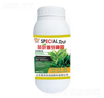 ���~��ѿ��¶-�������