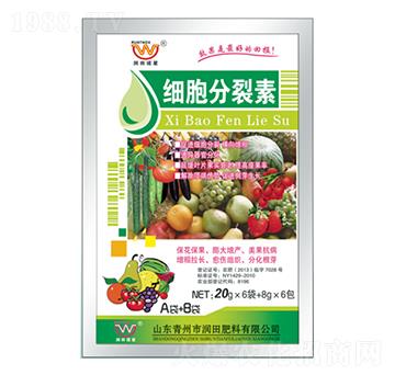 ��(x��)��������A+B-����