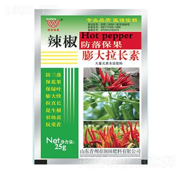 ����������L��-�����