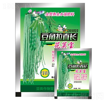 豆角拉直長-花莢寶-農(nóng)夫