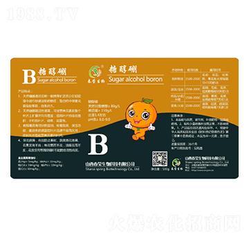 �Ǵ���-��������