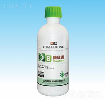 �Ǵ���-���ٌ�����