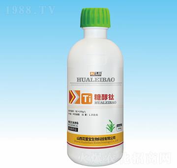 �Ǵ��-���ٌ�����