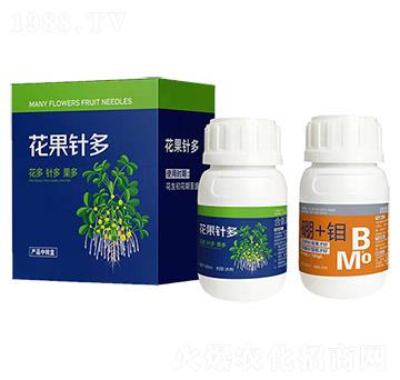 ����ᘶ�-����(l��)��