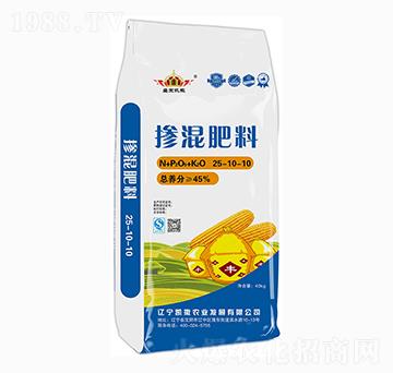 �������25-10-10-ʢ���P��