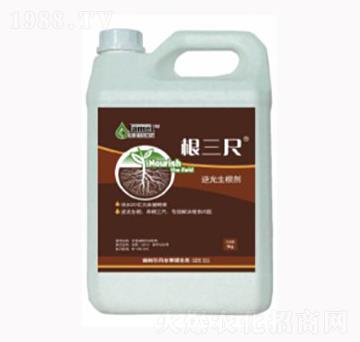 ������-������