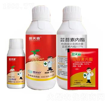 �|̦�؃���-�|���-��С��