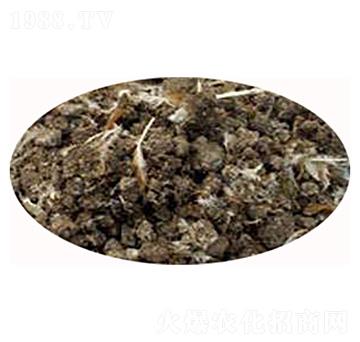 �������͸��u�S-��(qi��ng)�r(n��ng)�ʘI(y��)