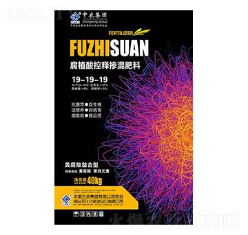 ��ֲ���ጓ������19-19-19-���r(n��ng)�r(n��ng)�I(y��)