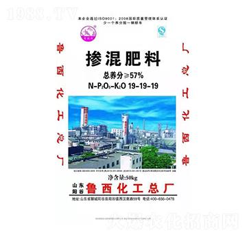 �������19-19-19-����-���r(n��ng)�r(n��ng)�I(y��)