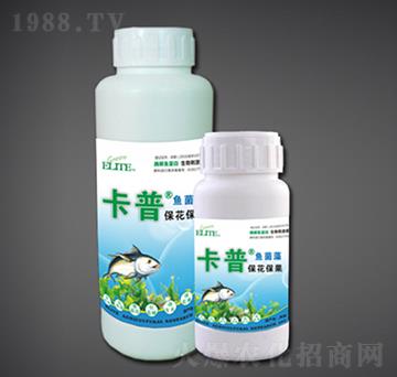 ����������ø���~(y��)����-�G�����