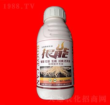 �����B(y��ng)������-����-���R�ʘI(y��)