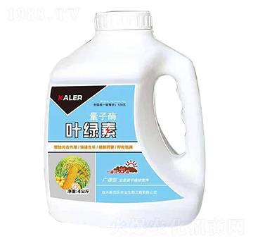 �~�G��-����ø-���r(n��ng)�I(y��)