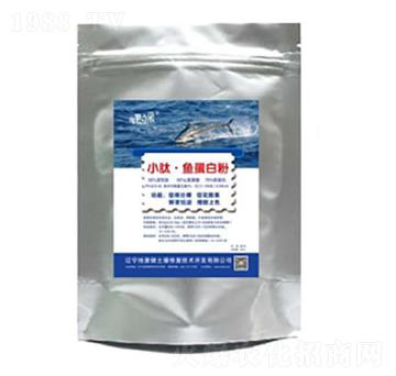 С���~(y��)���׷�-�؏�(f��)��