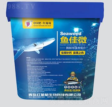 酶解海藻魚蛋白-魚佳微-紅葡萄