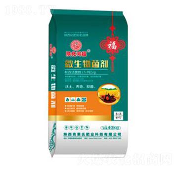 40kg΢�������-���R��