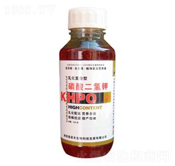 ��������-���Z�S