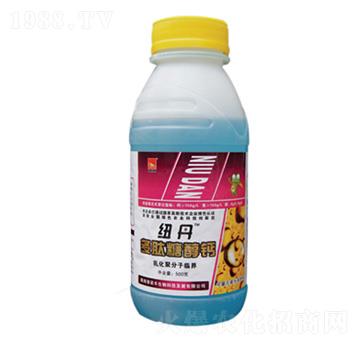 �����Ǵ��}-���Z�S