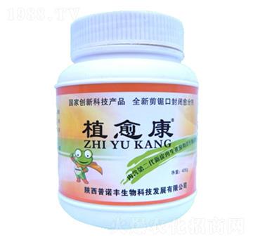 ֲ����-���Z�S