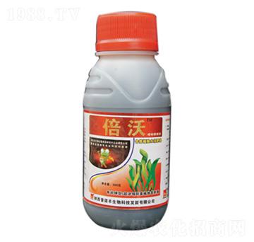 ���ᴼԭ�{-����-���Z�S