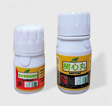 ��ľ��(d��o)����ͨ��-������-�h�G