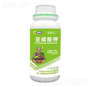 �������-�ڵÌ�����