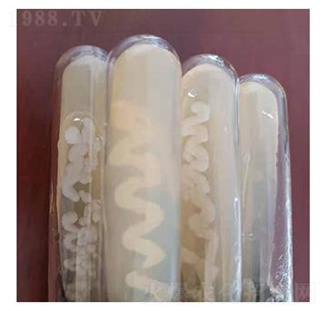 �K�ƽ�U���˜ʾ���-�Ű�����