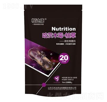 哈茨木霉菌·枯草-根達(dá)康-億農(nóng)達(dá)農(nóng)業(yè)