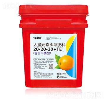 營養(yǎng)平衡型大量元素水溶肥料20-20-20+TE-宇東植康-圣金肥業(yè)