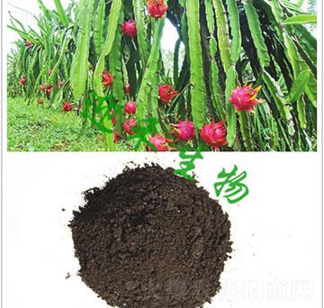 (zhun)÷-ӭ