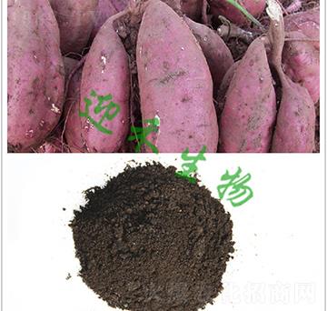 t팣(zhun)÷-ӭ