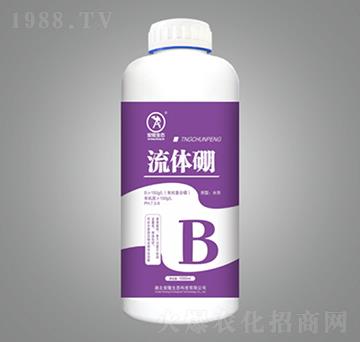 流體硼-安隆生態(tài)