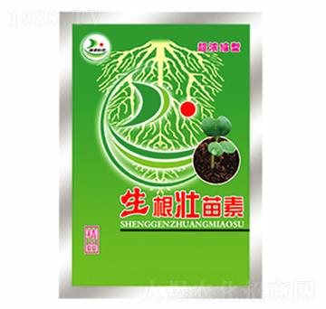 生根壯苗素-康爾特