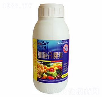 細(xì)胞分裂素-康爾特