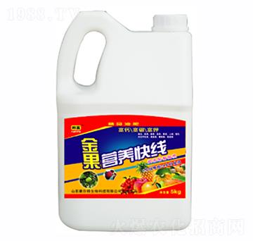 金果營養(yǎng)快線-康爾特