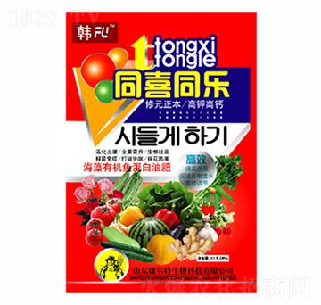 同喜同樂-康爾特