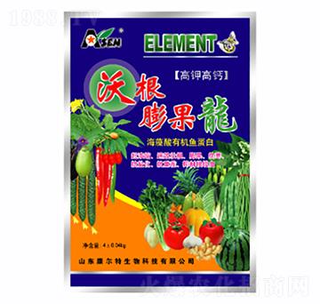 沃根膨果龍-康爾特