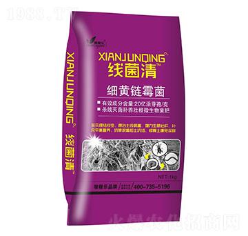 (x)Sù-(xin)-ڼژ(l)