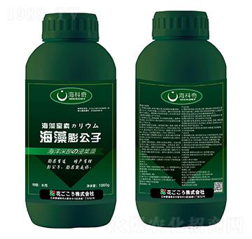 ��������-������