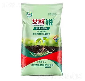 ΢�������-�����J-�J��