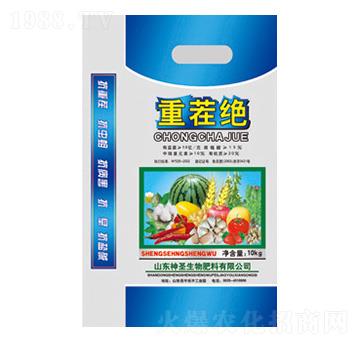 �ز�^-��ʥ����