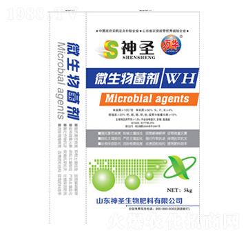 ΢�������-��ʥ����