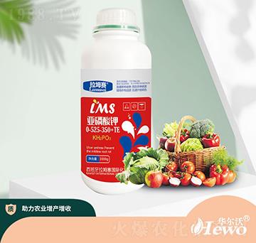 �������0-525-350+TE-����ِ-�A����