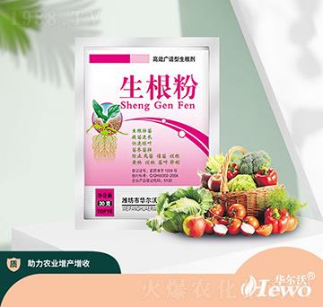 ������-�A����