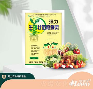 �����������ԉ����`-�A����