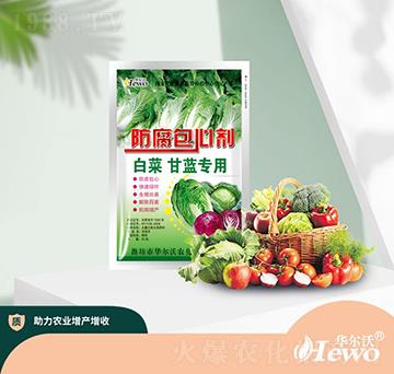 �ײ˸��{�������Ą�-�A����